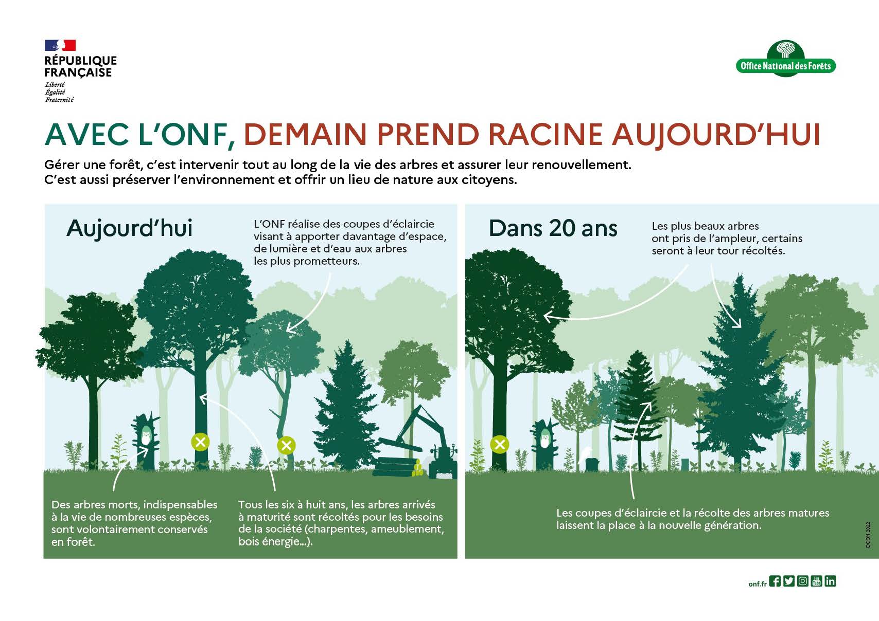 https://www.laval.fr/fileadmin/Phototheque_agglo/Actualites/ACTUALITES_2025/Coupe_foresti%C3%A8re_bois_de_l_huisserie/ONF_FIRR.jpg