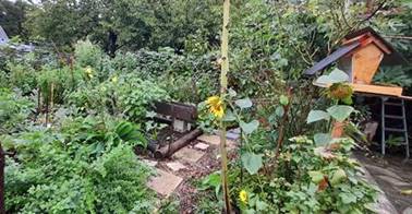 https://www.laval.fr/fileadmin/Phototheque_agglo/Actualites/ACTUALITES_2025/VIDE-JARDIN/VISITES_JARDINS_PARTICULIERS/Jardin_de_Mme_BINET_laval.jpeg