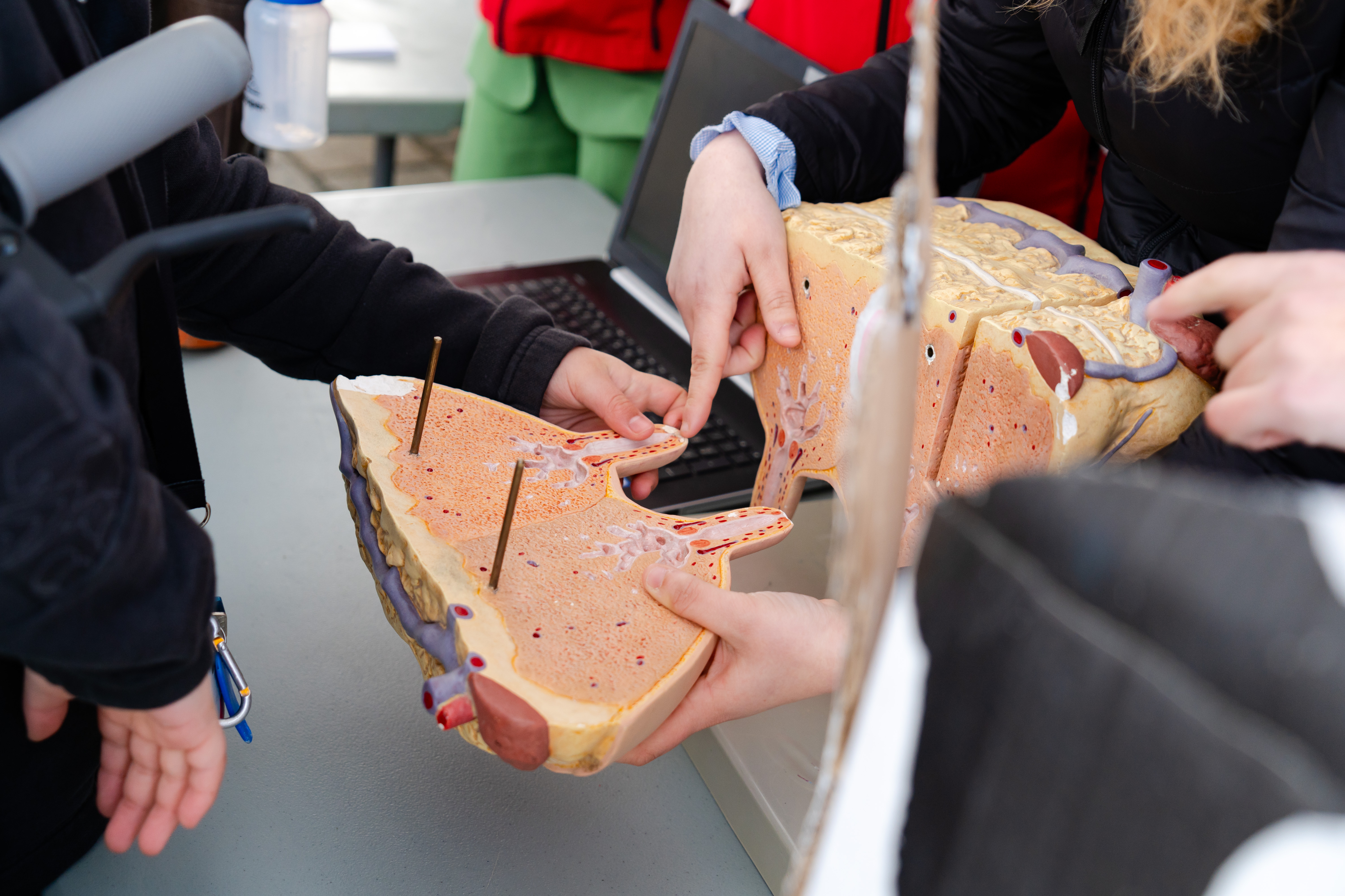 https://www.laval.fr/fileadmin/Phototheque_agglo/Environnement_Nature/PAT/Atelier_fabrication_beurre_02.jpg