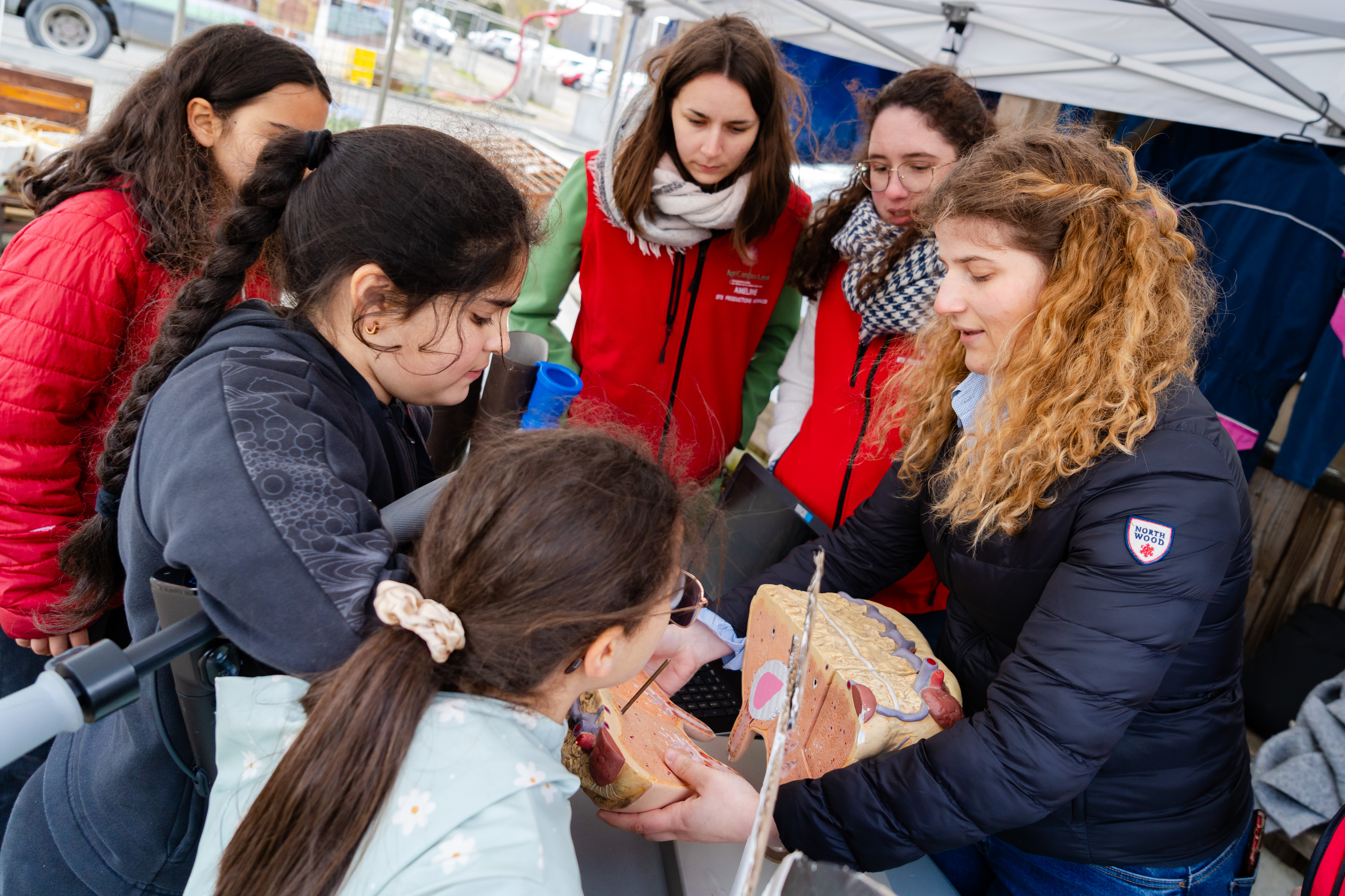 https://www.laval.fr/fileadmin/Phototheque_agglo/Environnement_Nature/PAT/Atelier_fabrication_beurre_03.jpg