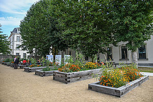 https://www.laval.fr/fileadmin/Grands_Projets/QUARTIER_FERRIE/Jardins_partag%C3%A9s.jpg