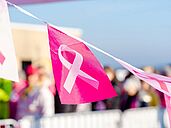 Octobre rose à Louverné