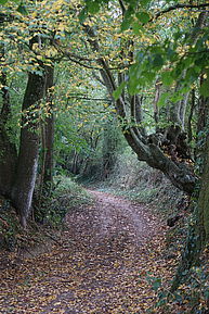 Chemin de randonnée