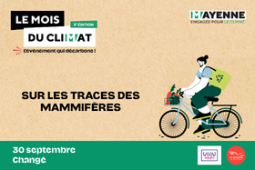 Sur les traces des mammifères