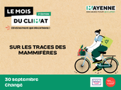 Sur les traces des mammifères