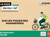 Sur les traces des mammifères
