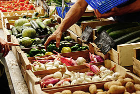Manger sain, des légumes bio dans les marchés français