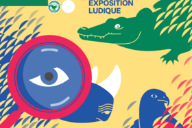 Exposition ludique : Trafic d'espèces