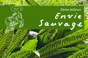 ENVIE SAUVAGE : week-end nature aux 3 Chênes