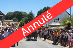 ANNULÉ - FESTIVAL DE LA MOISSON ET DES VIEUX MÉTIERS