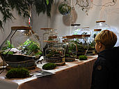 Marché des Lumières 