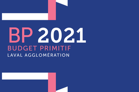 BUDGET PRIMITIF 2021