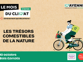 Les trésors comestibles de la nature