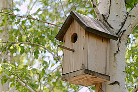 ATELIER FABRICATION DE NICHOIR À OISEAUX