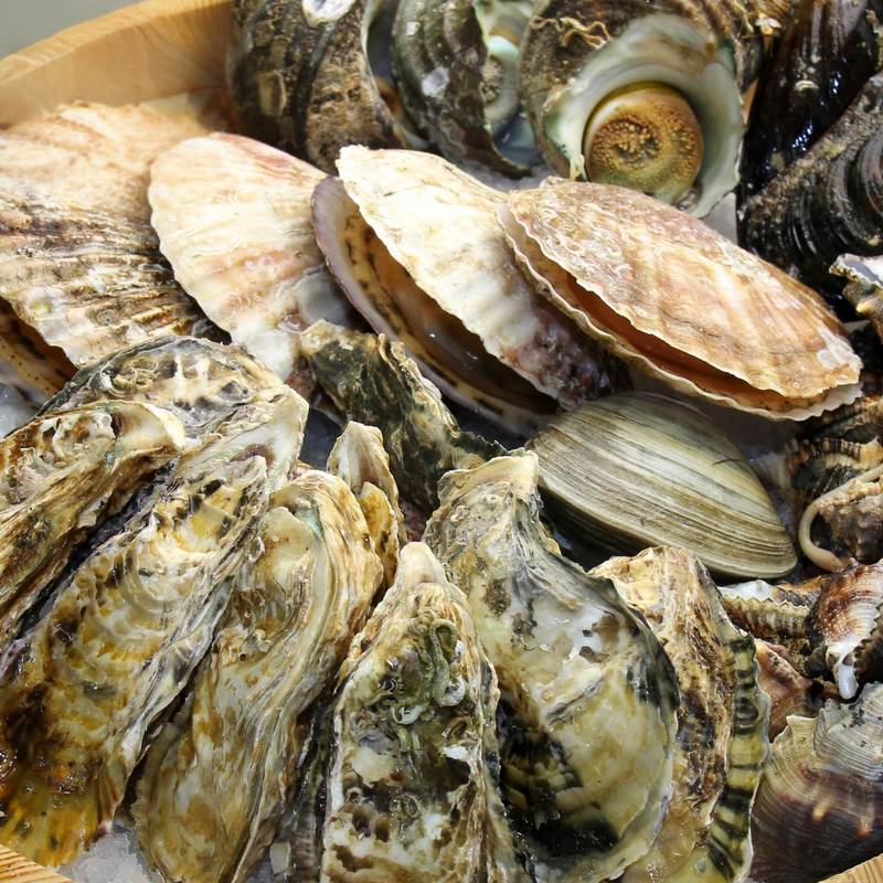 Recyclez vos coquillages dans les déchetteries de Laval Agglo !