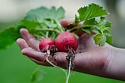 Fonds d'aide MIAM : appel à projet