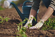 Des jardins à visiter, des idées à partager