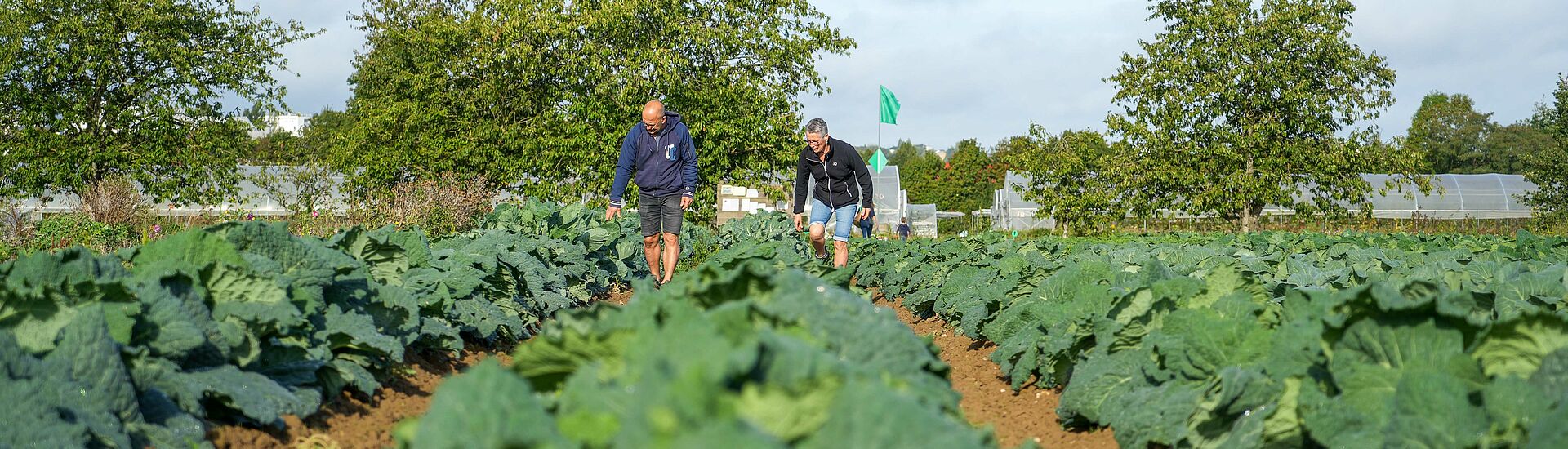 Fonds d'aide MIAM : appel à projet 2026