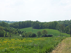 Agrandir l'image (fenêtre modale)